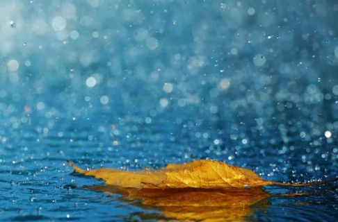 女人梦见下雨与黄金,梦境中的财富与情感交织 女人梦见下雨与黄金,梦境中的财富与情感交织