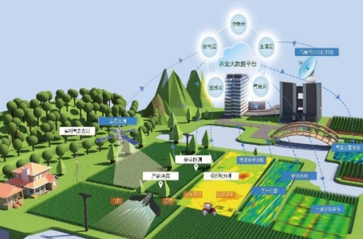 中国联通推动农村数字化转型  促进城乡一体化进程