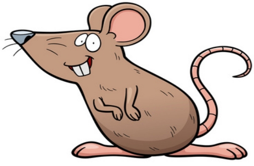 梦见家里有老鼠是怎么回事？会不会发生什么？