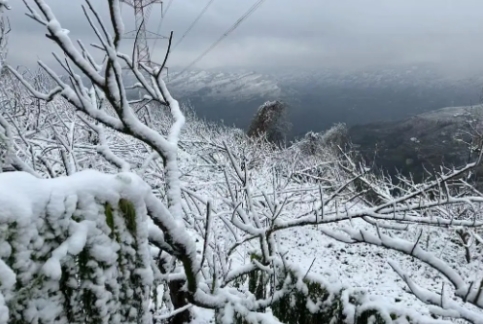 梦见下雪有什么寓意 梦见下雪好不好