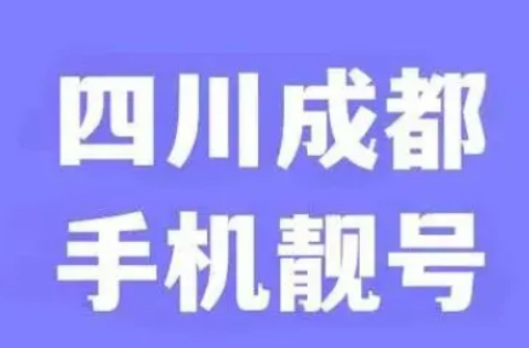 成都联通手机号码13036690000靓号规则AAAA 寓意团团圆圆 幸福美满