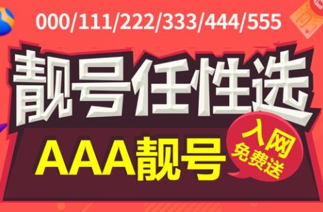 东莞联通手机号码13113111111 靓号规则AAAAA 承载着美好祝愿和期许的吉祥物